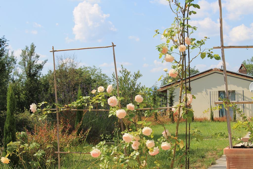 Agriturismo Dimore Di Poggianto Pergine Valdarno Zewnętrze zdjęcie