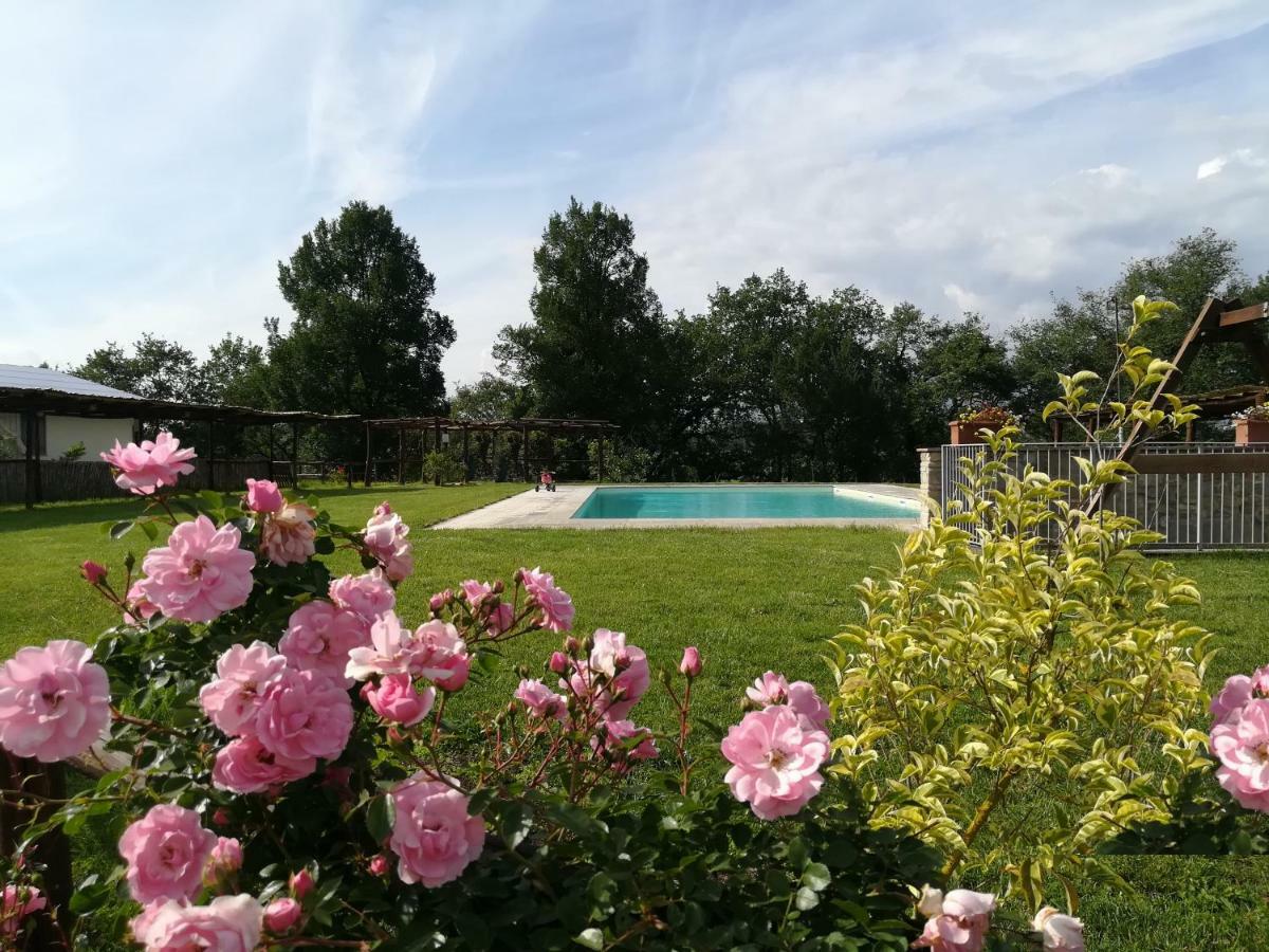 Agriturismo Dimore Di Poggianto Pergine Valdarno Zewnętrze zdjęcie